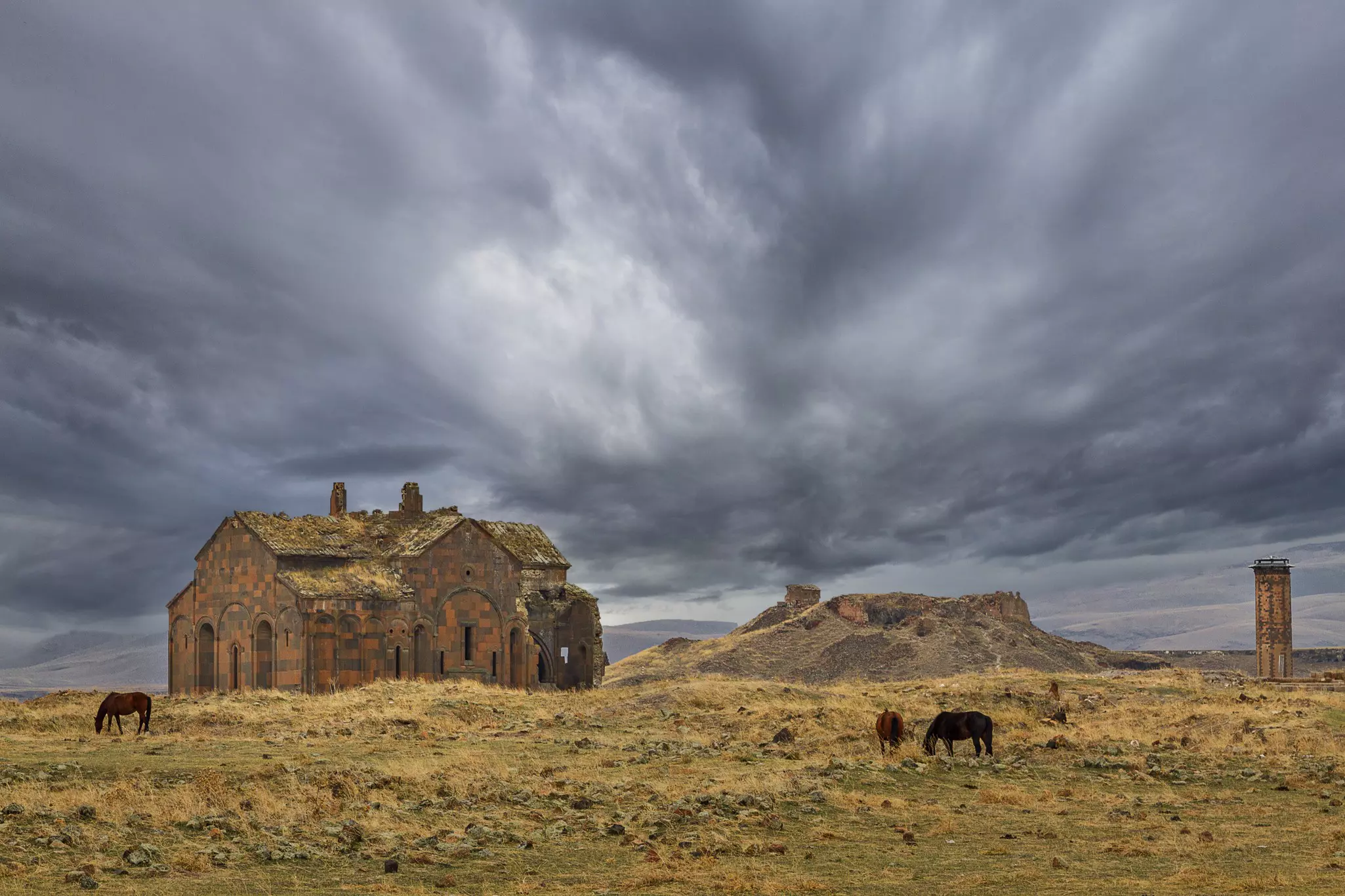 The remains of a cathedral, minaret and castle in landscape of scrub grass in Türkiye; three animals are grazing in the foreground under gray threatening skies.