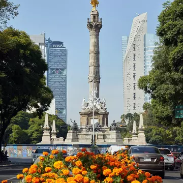 View of the Monumento a la Independencia (Independence Monument), known by locals as El Ángel (The Angel), in Mexico City, with flowers in the foreground.