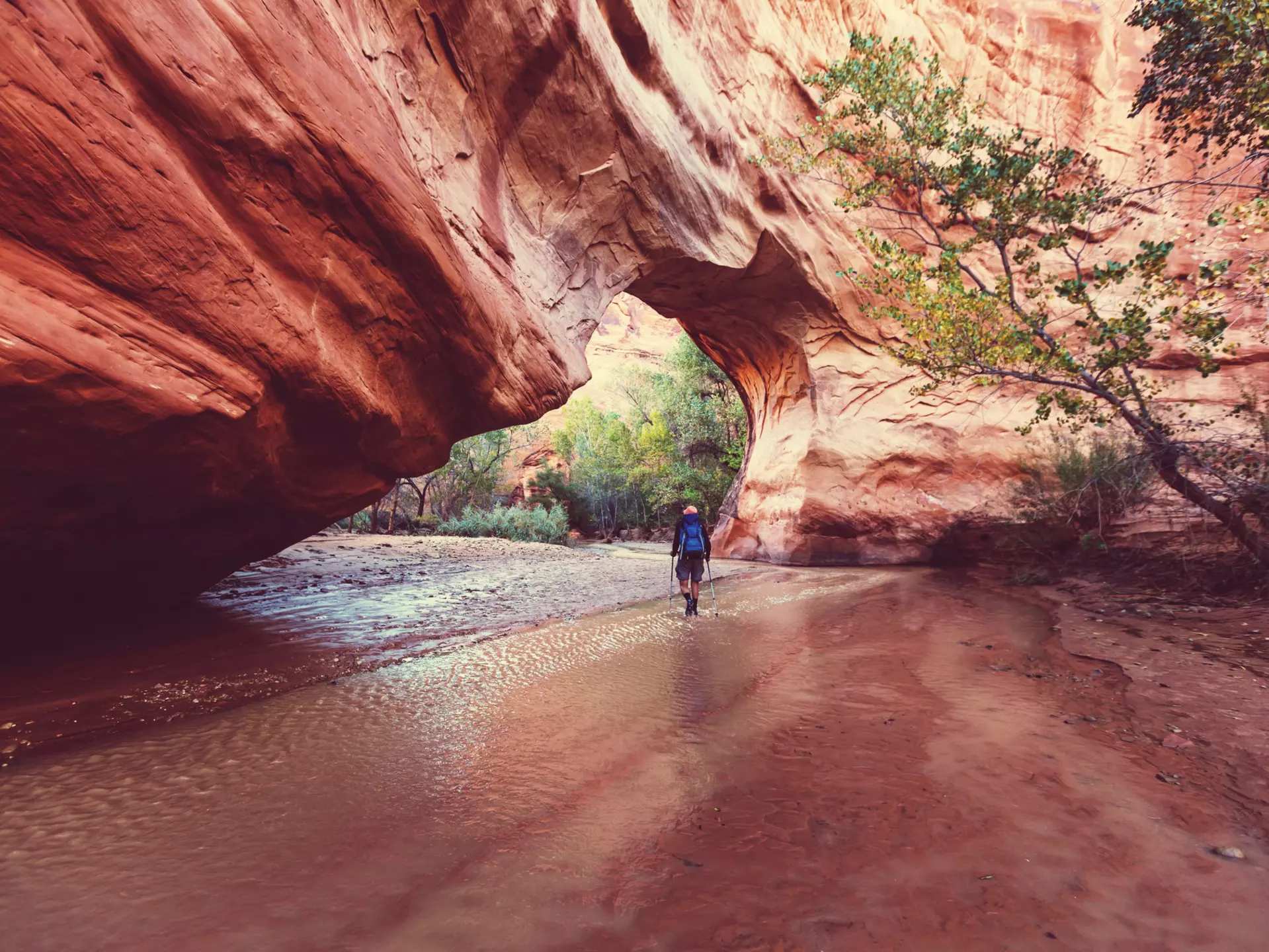 Hike in Coyote gulch, Grand Staircase-Escalante National Monument, Utah, United States
337201616
unusual, outdoor, hiking, tree, riverbank, adventure, destination, america, usa, backlit, hiker, remote, backpacker, green, river, travel, amazing, recreational, red, rock, utah, sand, male, stream, summer, people, explorer, sandstone, tourist, recreation, canyon, exploration, cliff, tourism, scene, water, nature, eroded, man, geology, wanderlust, landscape, riverwalk, arch, natural, national, coyote, staircase-escalante, destinations, formation, grand, gulch, jacob, hamblin, monument