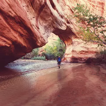 Hike in Coyote gulch, Grand Staircase-Escalante National Monument, Utah, United States
337201616
unusual, outdoor, hiking, tree, riverbank, adventure, destination, america, usa, backlit, hiker, remote, backpacker, green, river, travel, amazing, recreational, red, rock, utah, sand, male, stream, summer, people, explorer, sandstone, tourist, recreation, canyon, exploration, cliff, tourism, scene, water, nature, eroded, man, geology, wanderlust, landscape, riverwalk, arch, natural, national, coyote, staircase-escalante, destinations, formation, grand, gulch, jacob, hamblin, monument