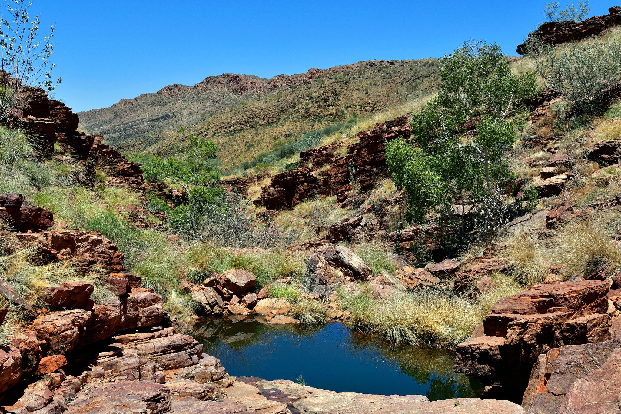 Waterhole in Trephina Gorge in East McDonnell Range national park, Australia.