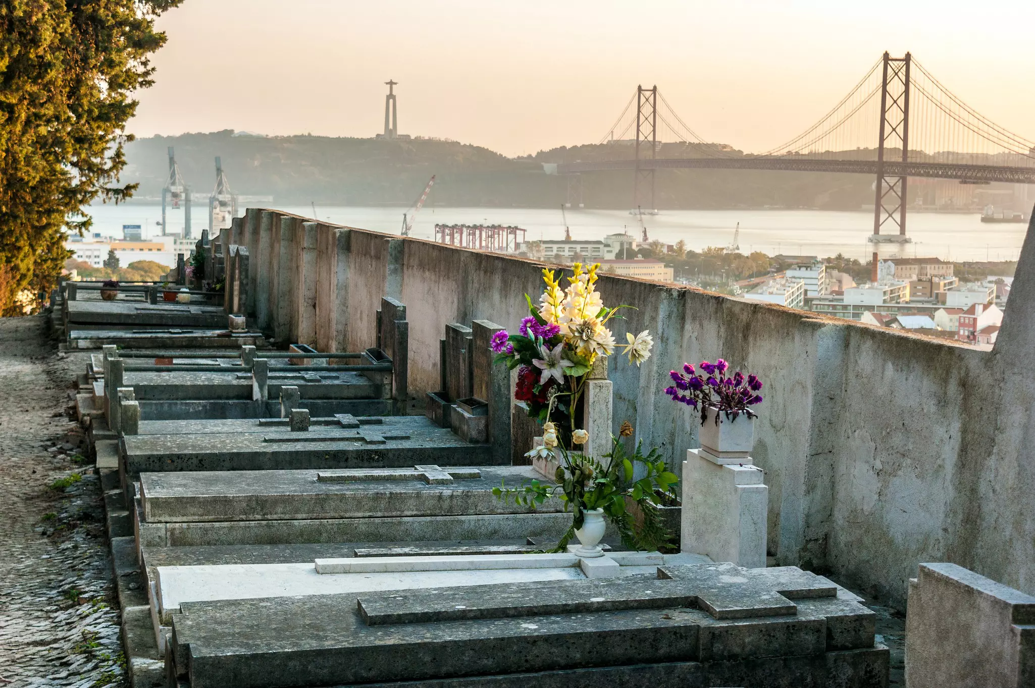 A row of graves with flowers in a cemetery near a river with a large suspension bridge.