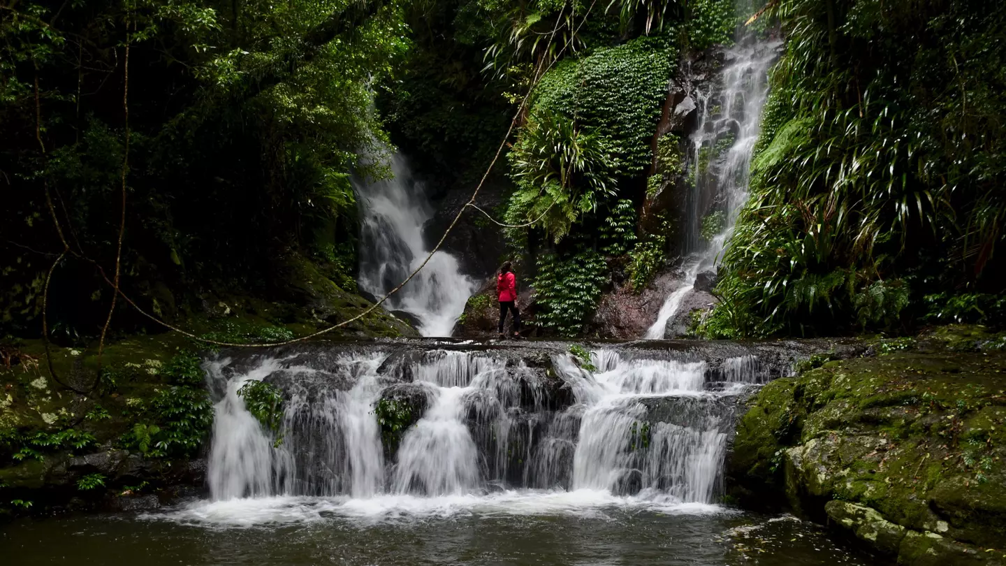 From exploring the beautiful national parks to tasting local foods at farm-to-table restaurants, Queensland's Scenic Rim is packed with great things to do © Laura Howden / Getty Images