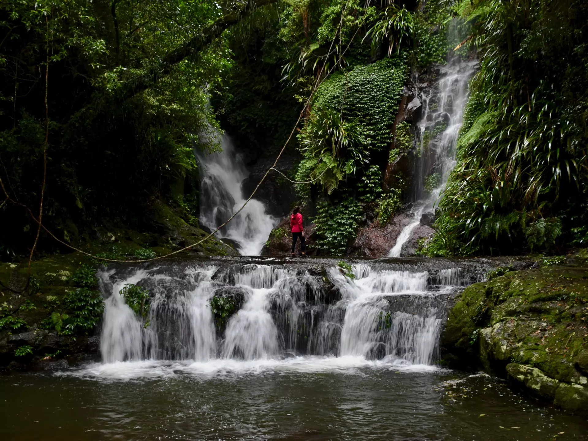 From exploring the beautiful national parks to tasting local foods at farm-to-table restaurants, Queensland's Scenic Rim is packed with great things to do © Laura Howden / Getty Images