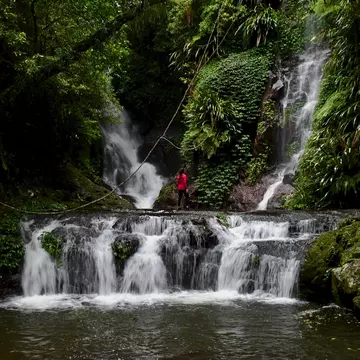 From exploring the beautiful national parks to tasting local foods at farm-to-table restaurants, Queensland's Scenic Rim is packed with great things to do © Laura Howden / Getty Images