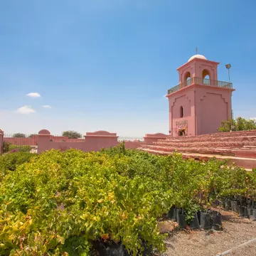 January 18, 2015: Tacama Vineyard, a producer of wine and pisco.
1277171077
ancient, architecture, barrel, beverage, building, celebration, chincha, city, culture, desert, distillation, distillery, drink, europe, food, grape, greece, holiday, home, house, ica, industrial, landmark, landscape, lima, mediterranean, near, old, paracas, peru, peruvian, pisco, production, sand, street, summer, tacama, tour, tourism, town, tradition, traditional, travel, village, vinas, vine, vineyard, vineyards, wine, winery