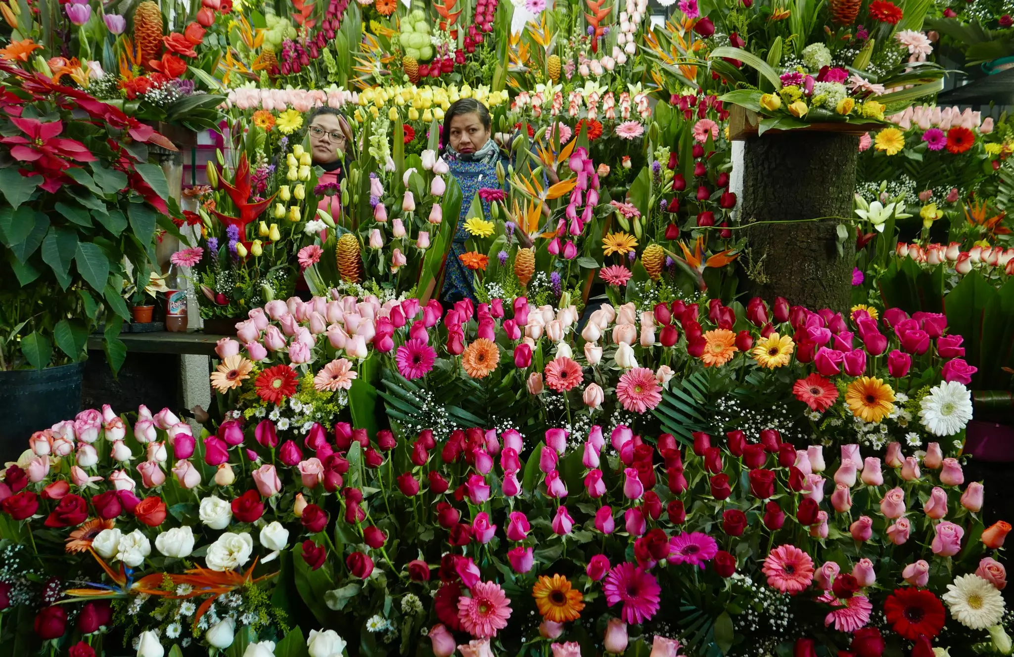 The Mercado de Jamaica abounds with colorful blooms for sale. Angela Ostafichuk/Shutterstock