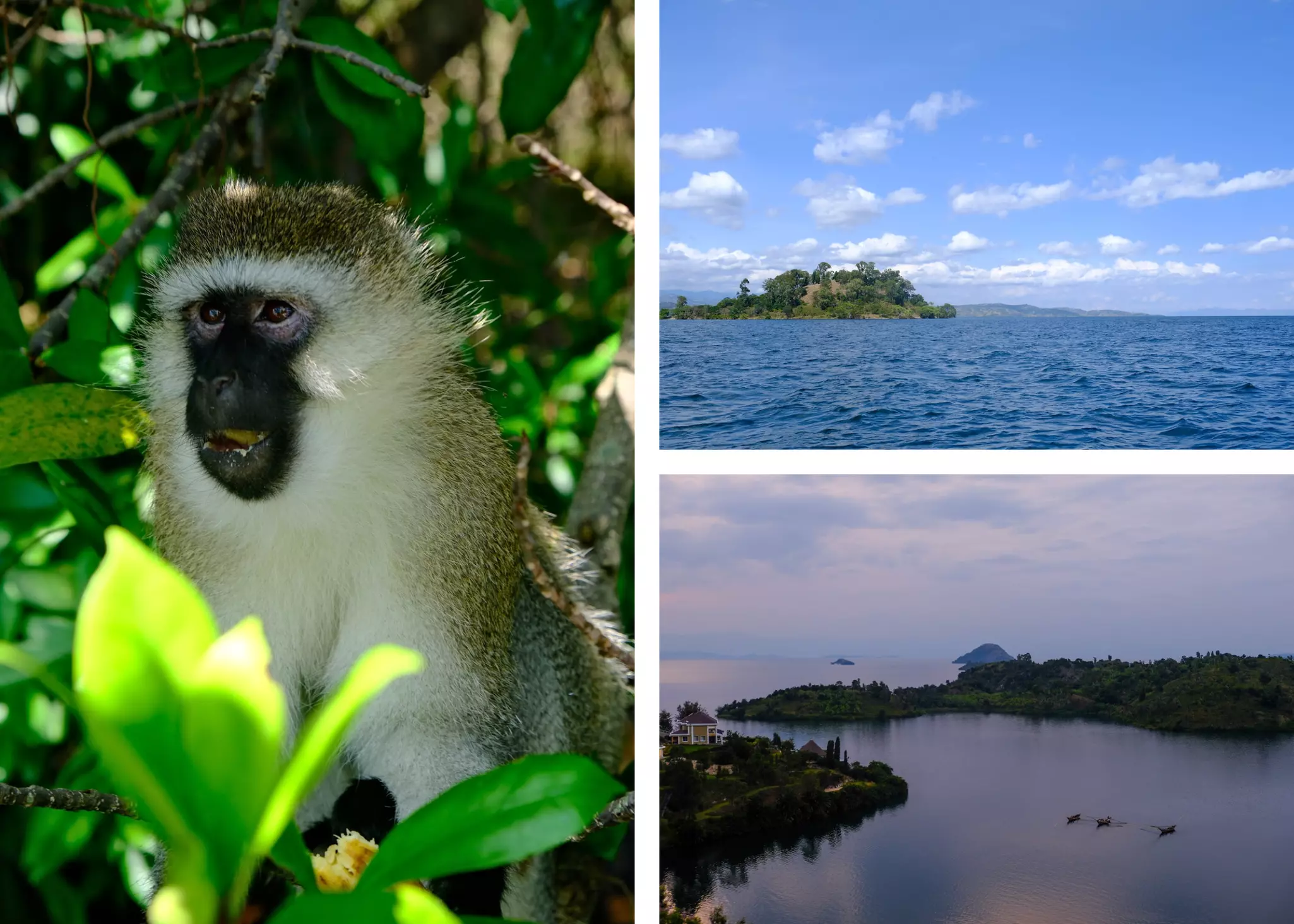 Gorilla trekking collages  - Lake Kivu collage
Best places to visit in Rwanda collages