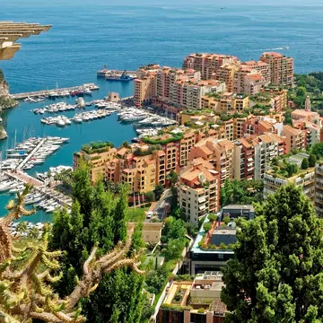 Aerial view of Monaco with apartments and boats in a marina