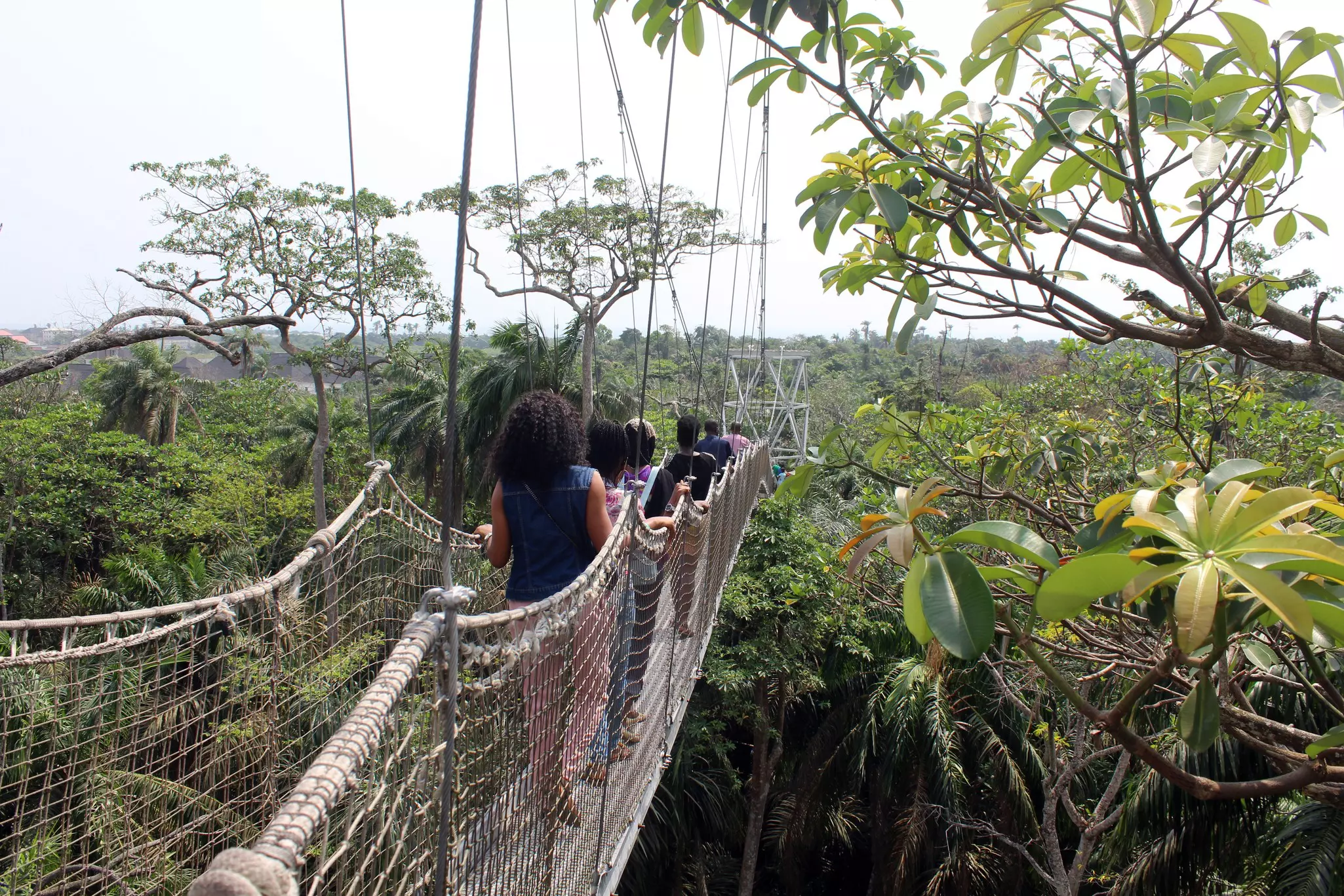 15th December,2018, Lekki conservation Center, Lagos, Nigeria. Fun seekers atop the africa's longest canopy walkway  License Type: media  Download Time: 2022-05-14T03:55:42.000Z  User: mvstanton53  Is Editorial: Yes  purchase_order:   