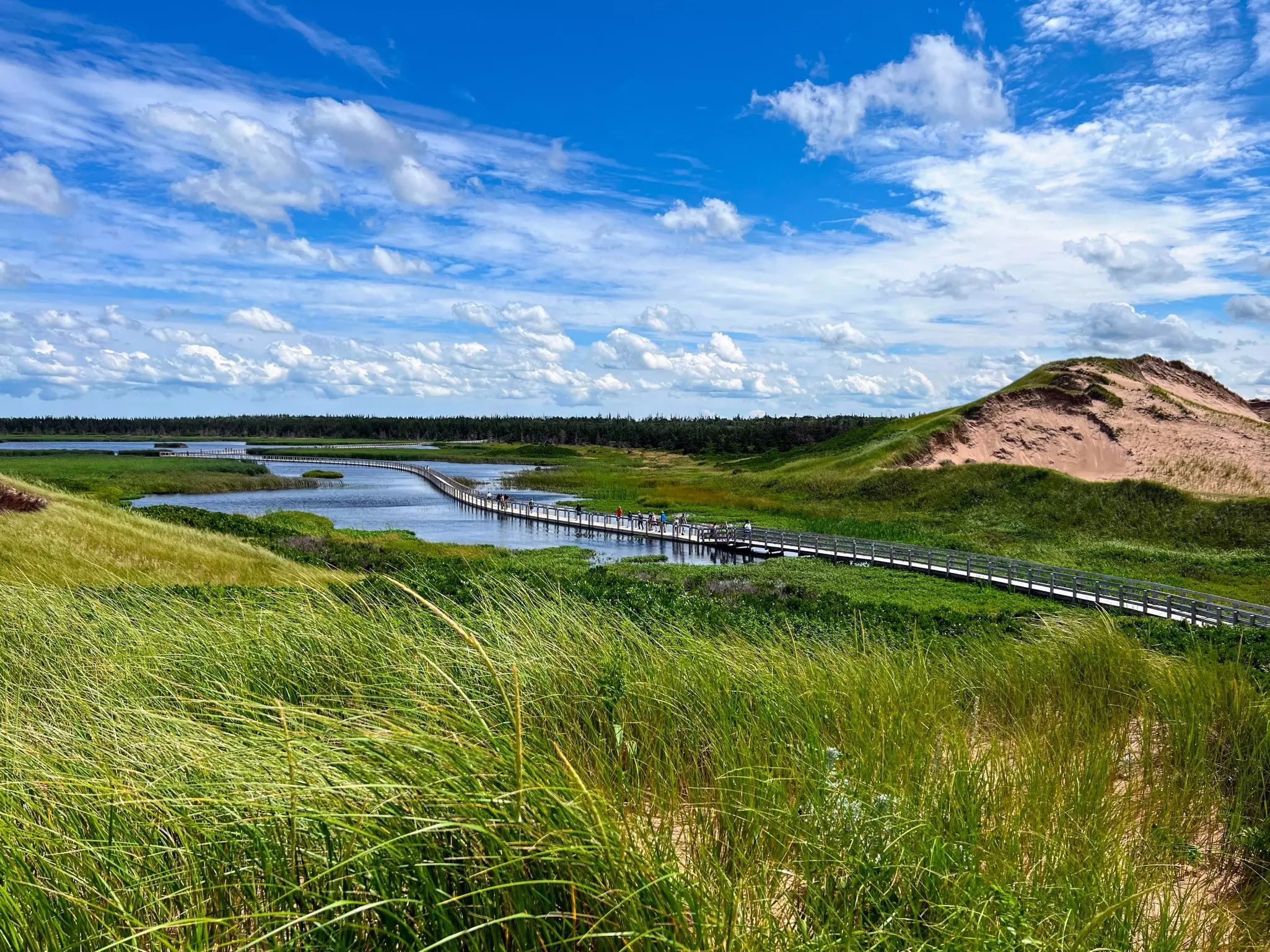 People walk along a boardwalk floating above the water in a national park with grass, wetlands and sand dunes.