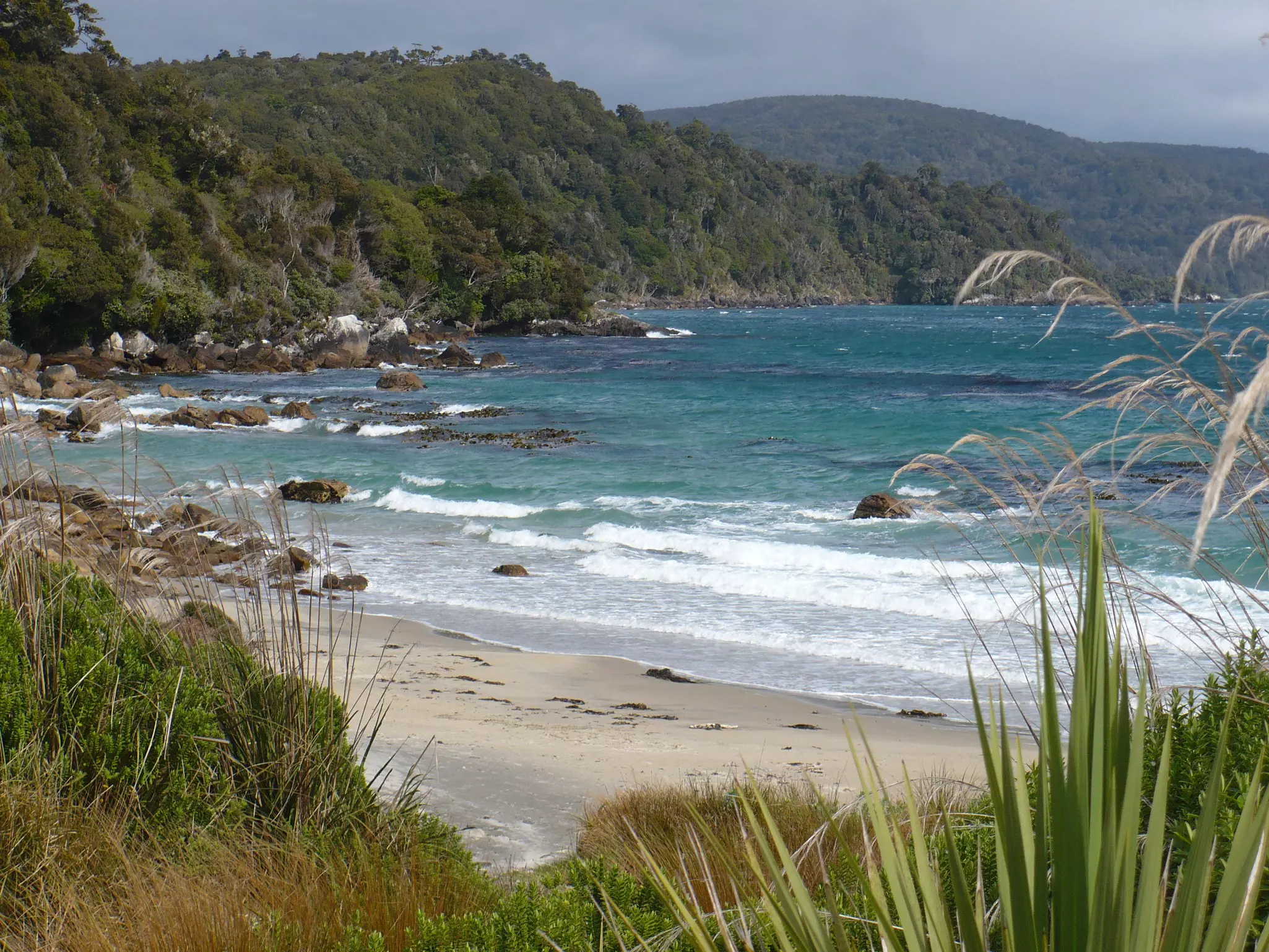 Trees, rocks and water at Rakiura National Park
