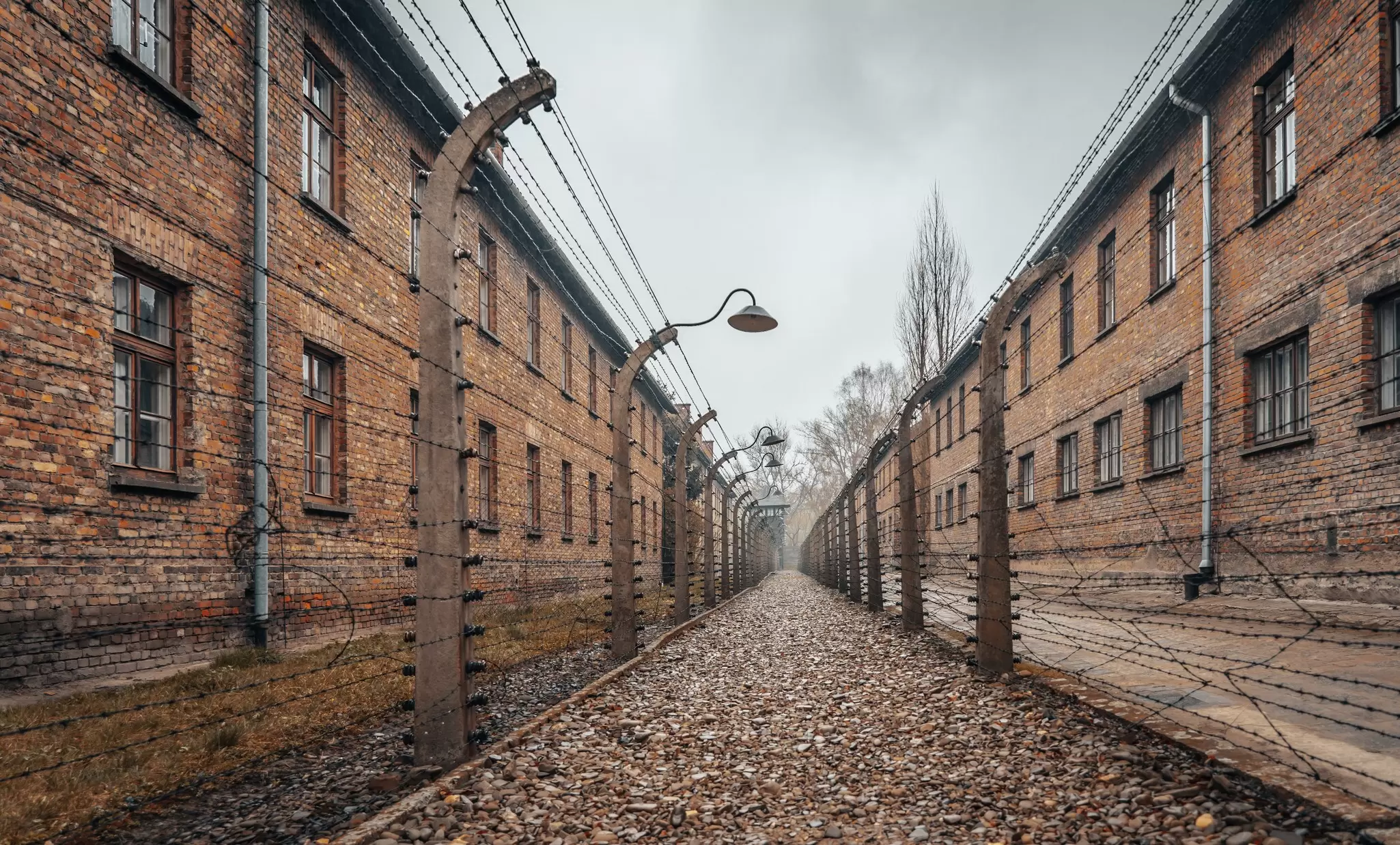 Barbed wire separates the blocks at Auschwitz I at the Auschwitz-Birkenau memorial and museum in Poland. 