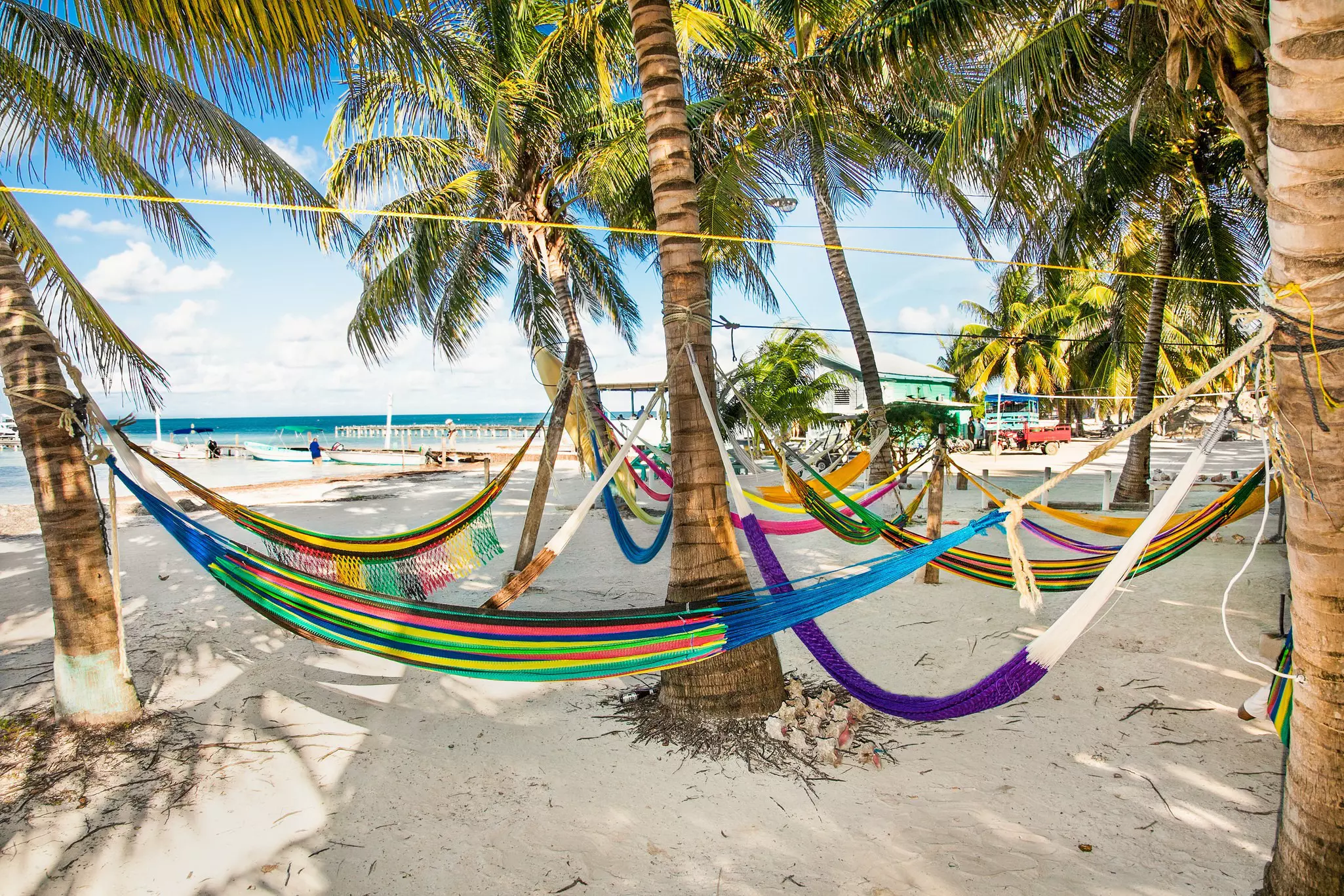 Multicolored hammocks hang between a grove of palm trees over a sandy beach.