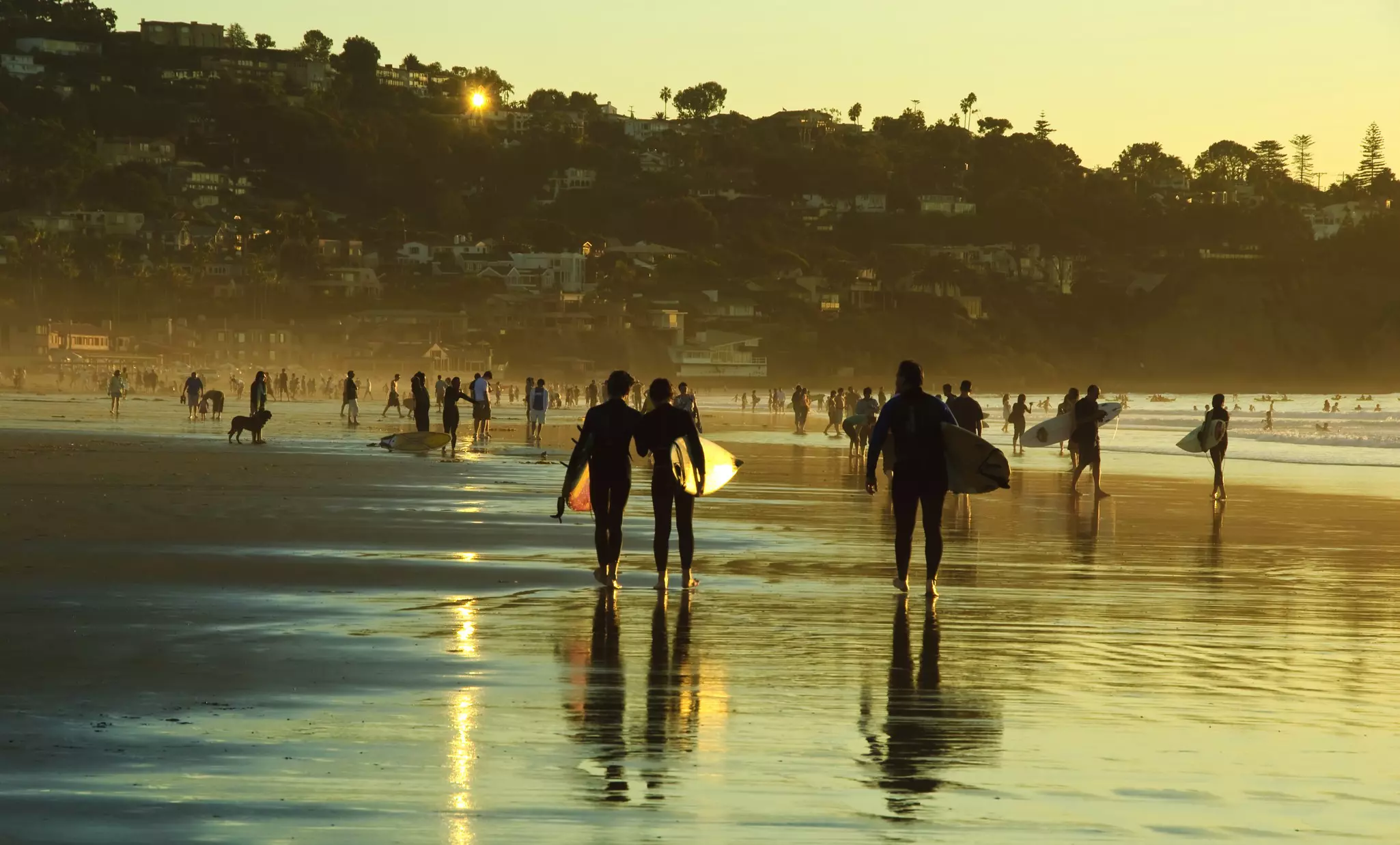 Surfers at La Jolla Shore in San Diego at sunset.
