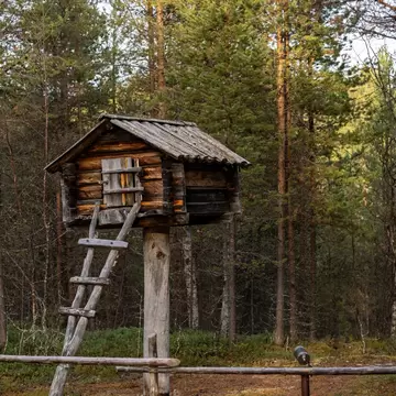 A small log storehouse raised on a single tall post with a pole ladder leaning against it, in a clearing among pines.