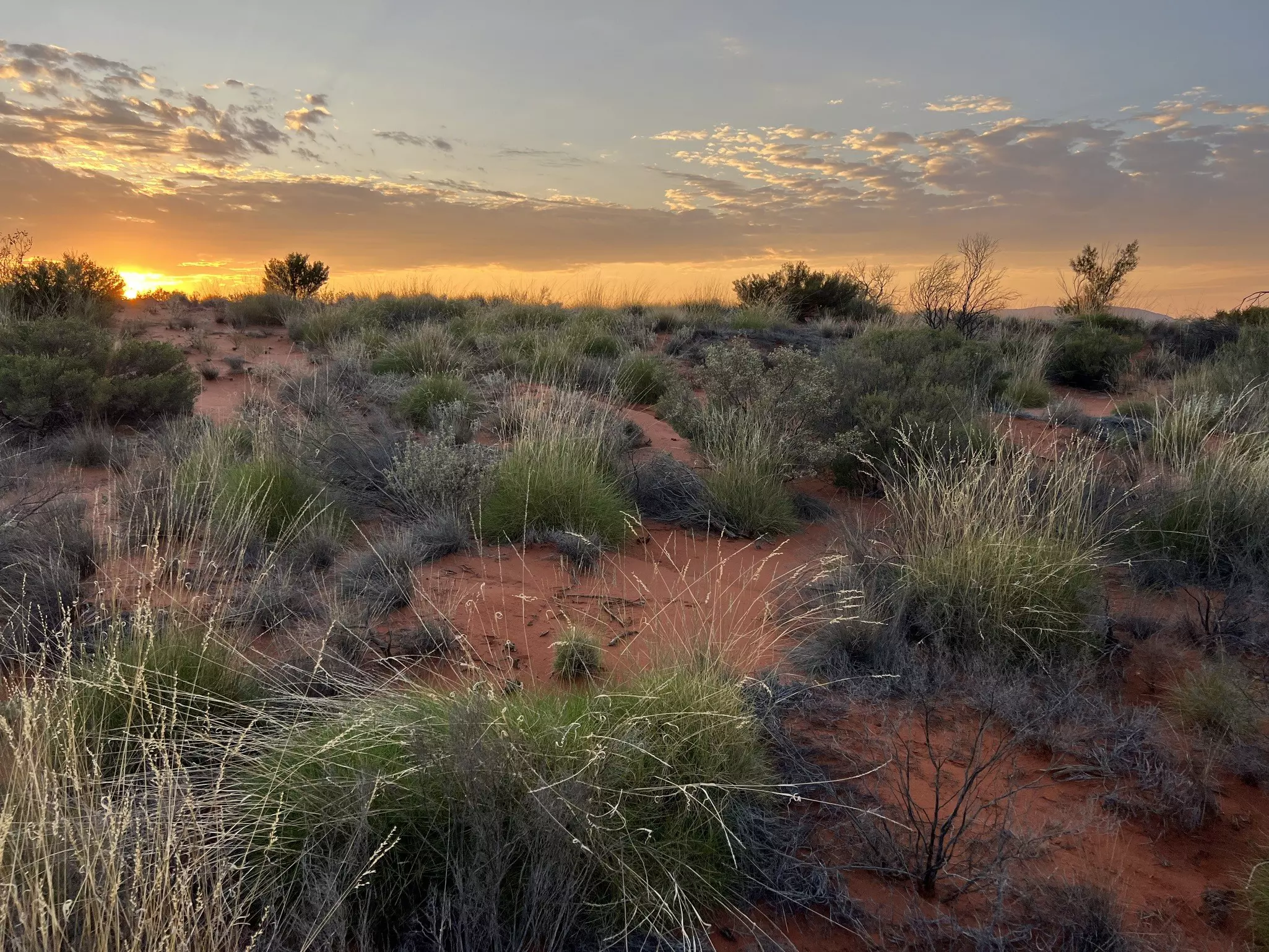 A street vendor in downtown Cartagena