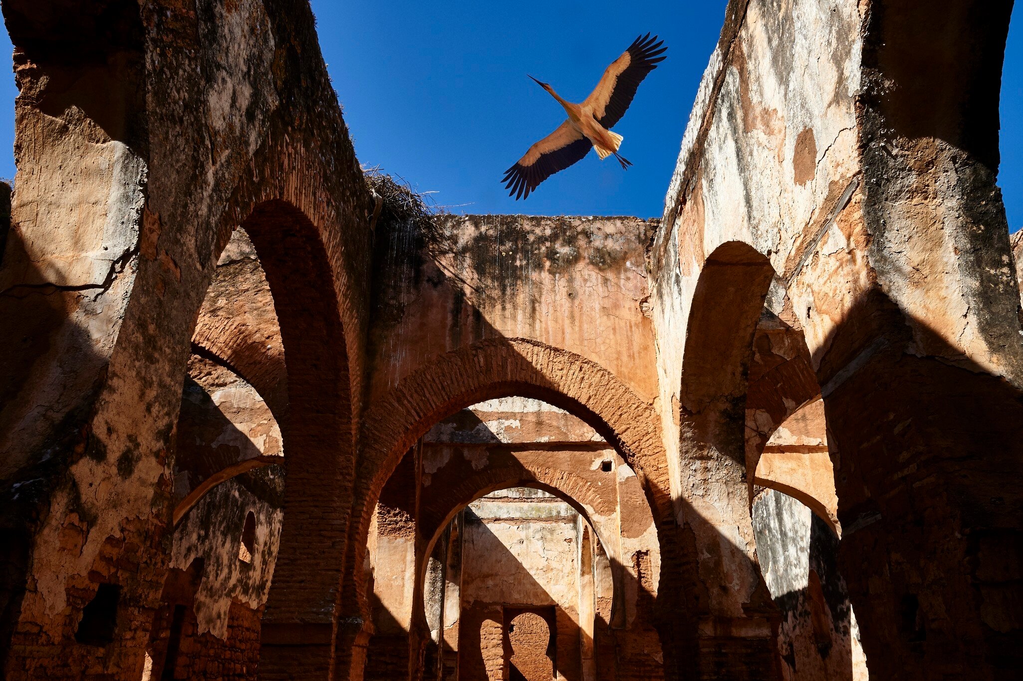 Historic Chellah Necropolis in Rabat, Morocco