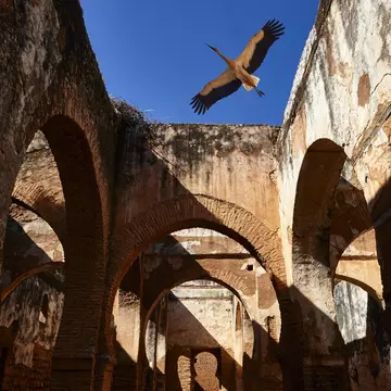 Historic Chellah Necropolis in Rabat, Morocco