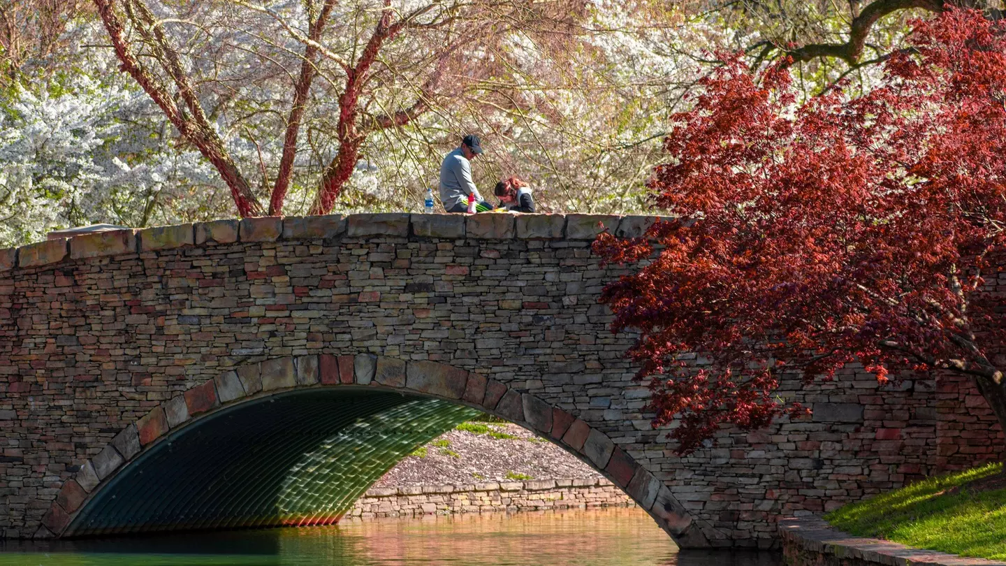 A man and a woman sitting on the stone bridge at Freedom Park. There is a body of water under the bridge and a red blooming tree on the right side.