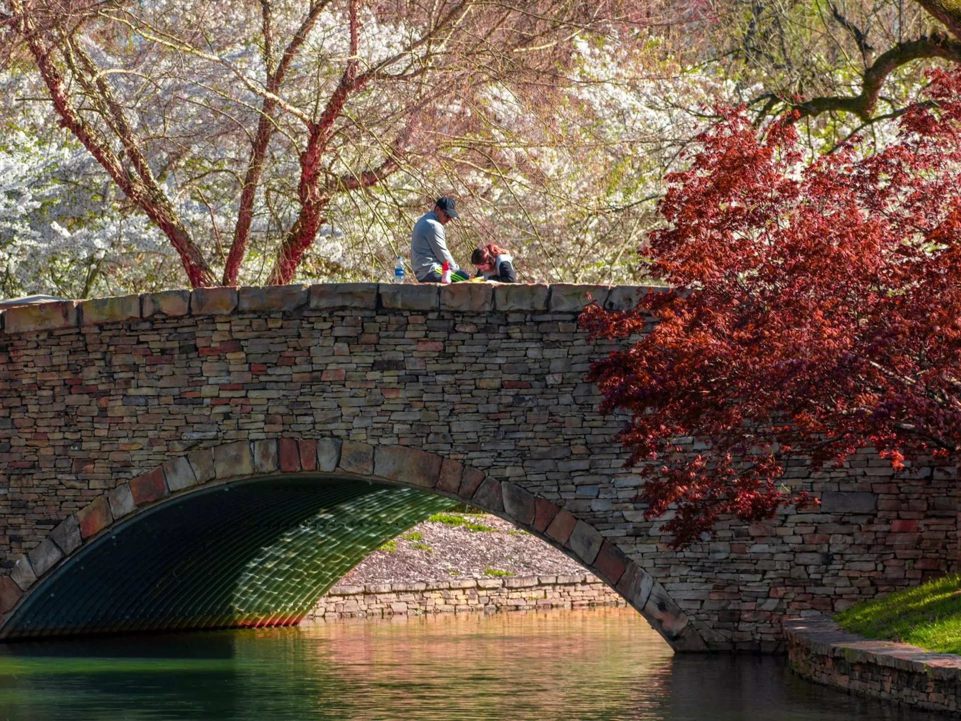 A man and a woman sitting on the stone bridge at Freedom Park. There is a body of water under the bridge and a red blooming tree on the right side.
