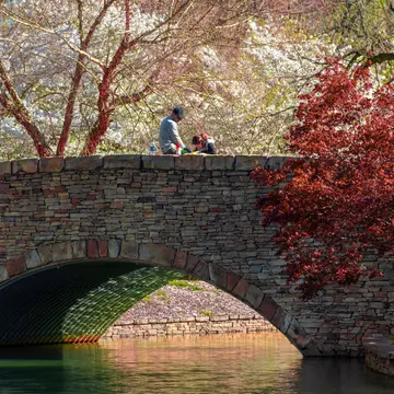 A man and a woman sitting on the stone bridge at Freedom Park. There is a body of water under the bridge and a red blooming tree on the right side.