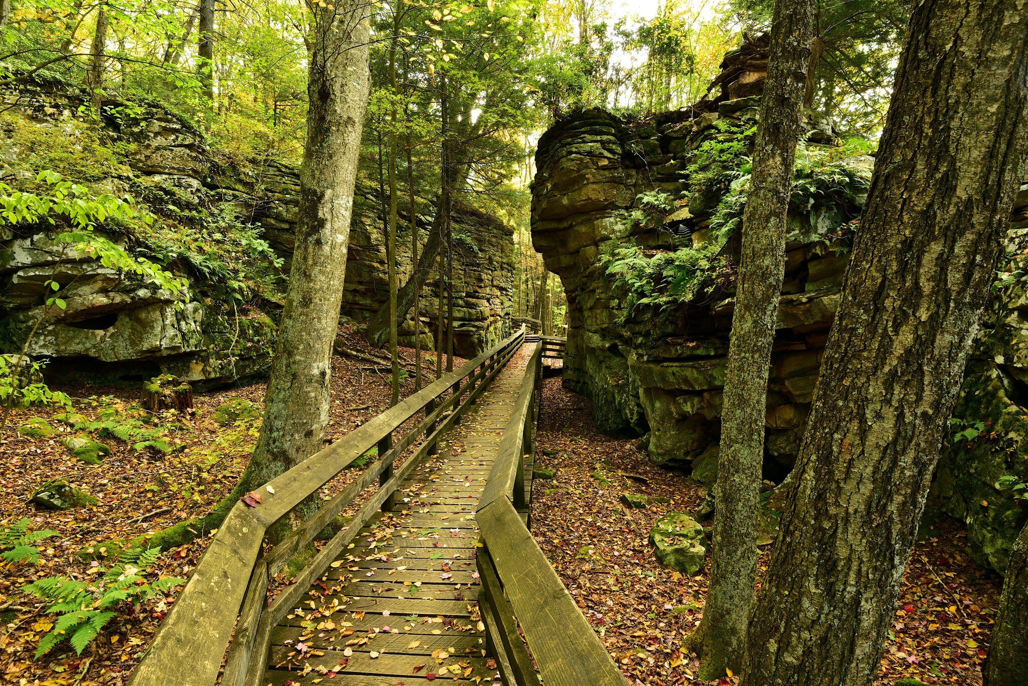 West Virginia