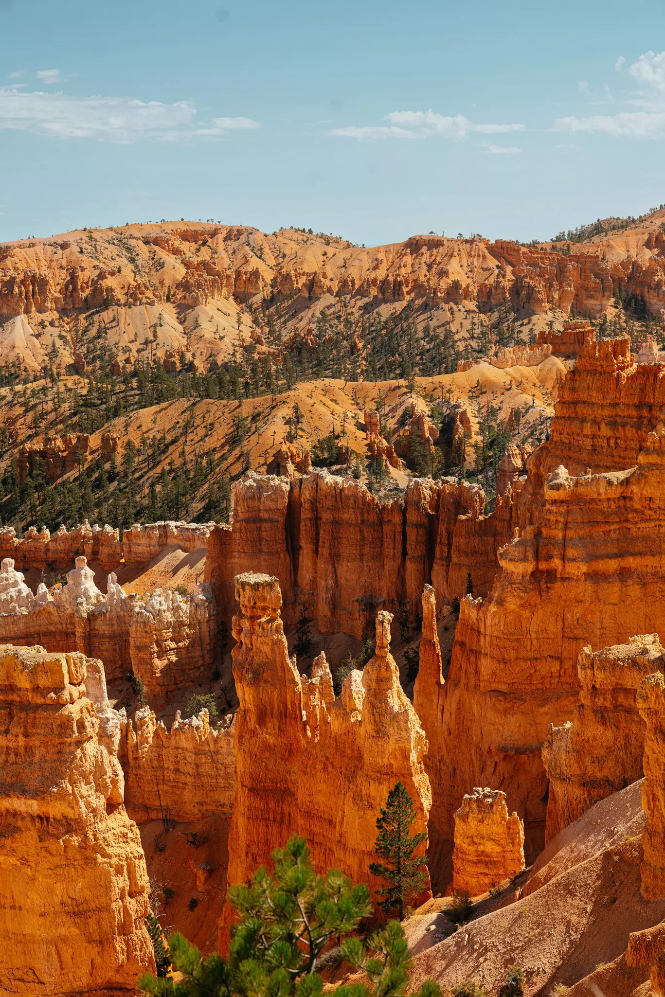 Hoodoos at Bryce Canyon National Park, Utah. September 2025.