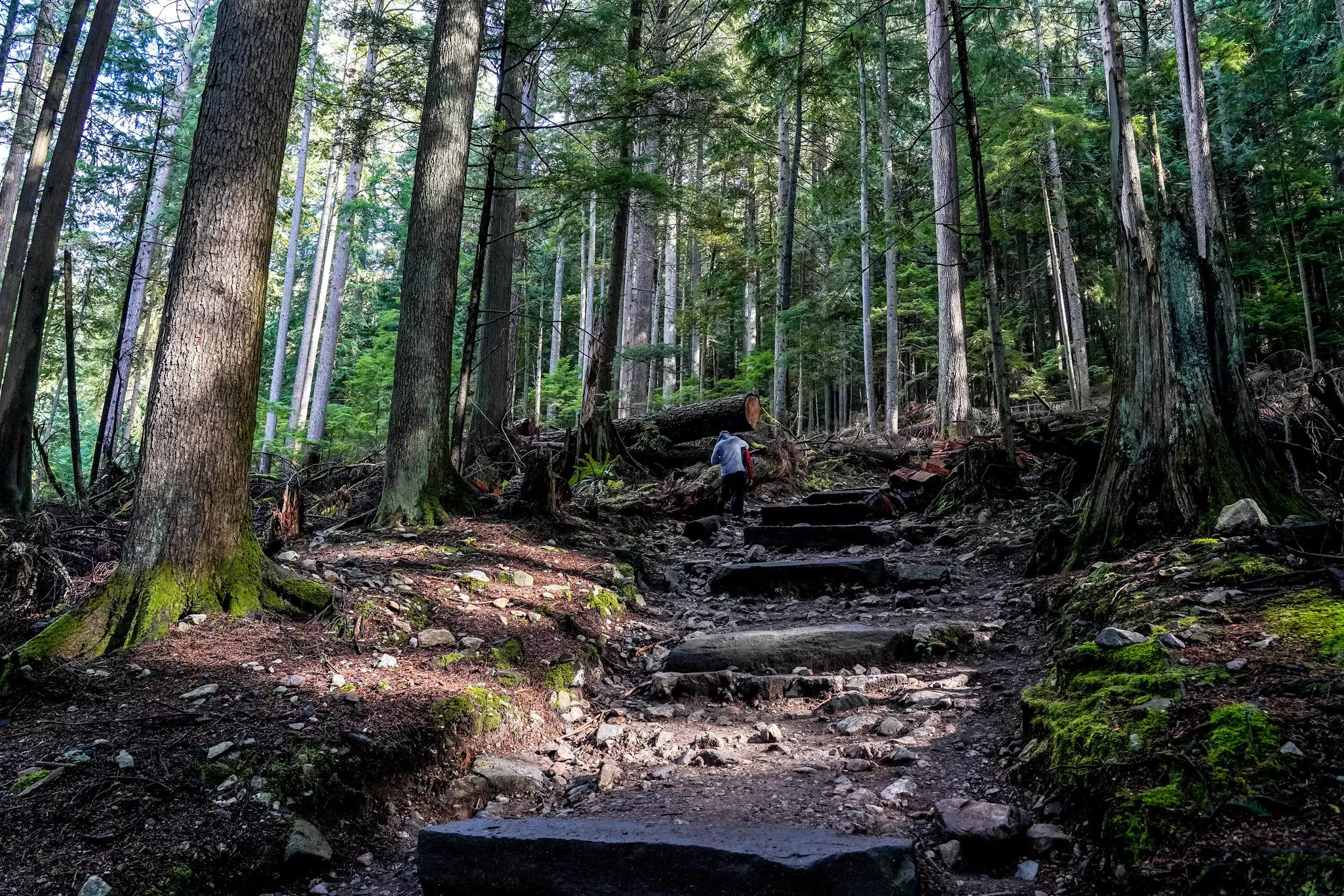 Head away from the gondola to experience the best of Grouse Mountain © ApinBen4289 / Shutterstock