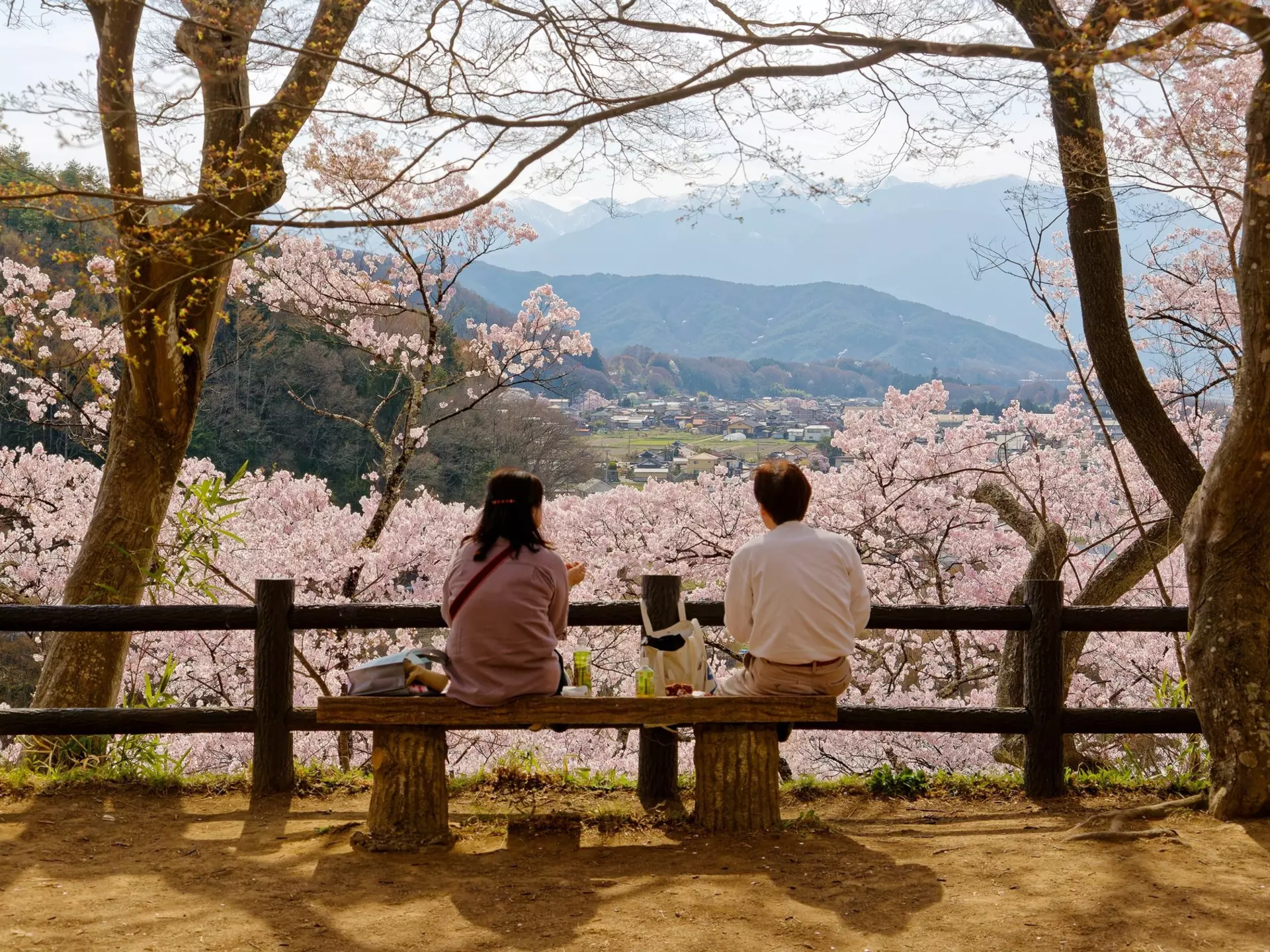 Takata Castle Ruis Park in Ina, Nagano, Japan. AaronChenPS2/Shutterstock
