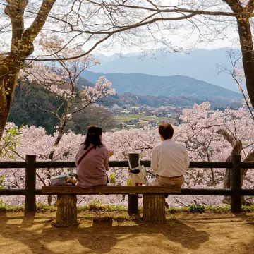 Takata Castle Ruis Park in Ina, Nagano, Japan. AaronChenPS2/Shutterstock