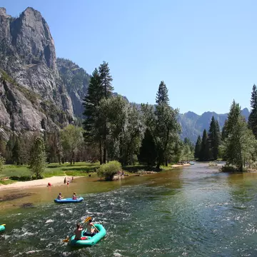 People rafting in a river surrounded by pine trees and large rocky mountain. 