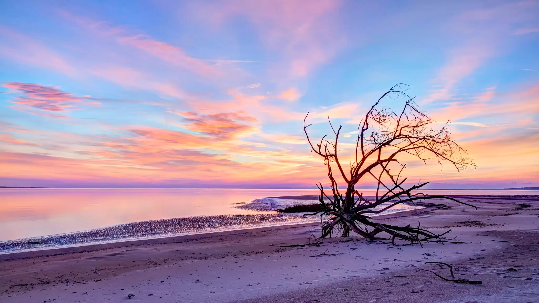Boneyard Beach on Big Talbot Island, Jacksonville, Florida, USA with the Nassau Sound in the background. Glenn Ross Images / Getty Images