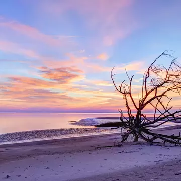 Boneyard Beach on Big Talbot Island, Jacksonville, Florida, USA with the Nassau Sound in the background. Glenn Ross Images / Getty Images