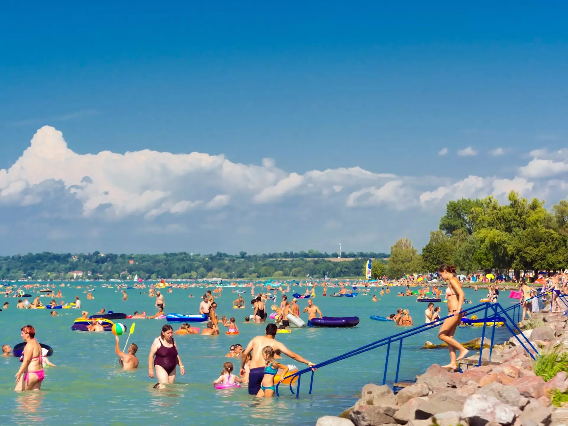Many people swim in the water of a lake on a sunny day.