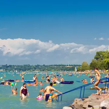 Many people swim in the water of a lake on a sunny day.