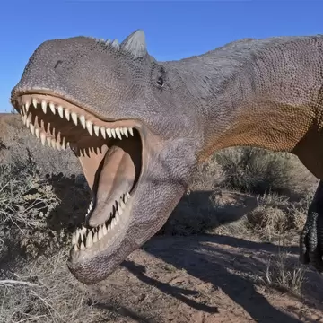 An Allosaurus fragilis dinosaur replica with open jaws standing on the Moab Giants dinosaur trail