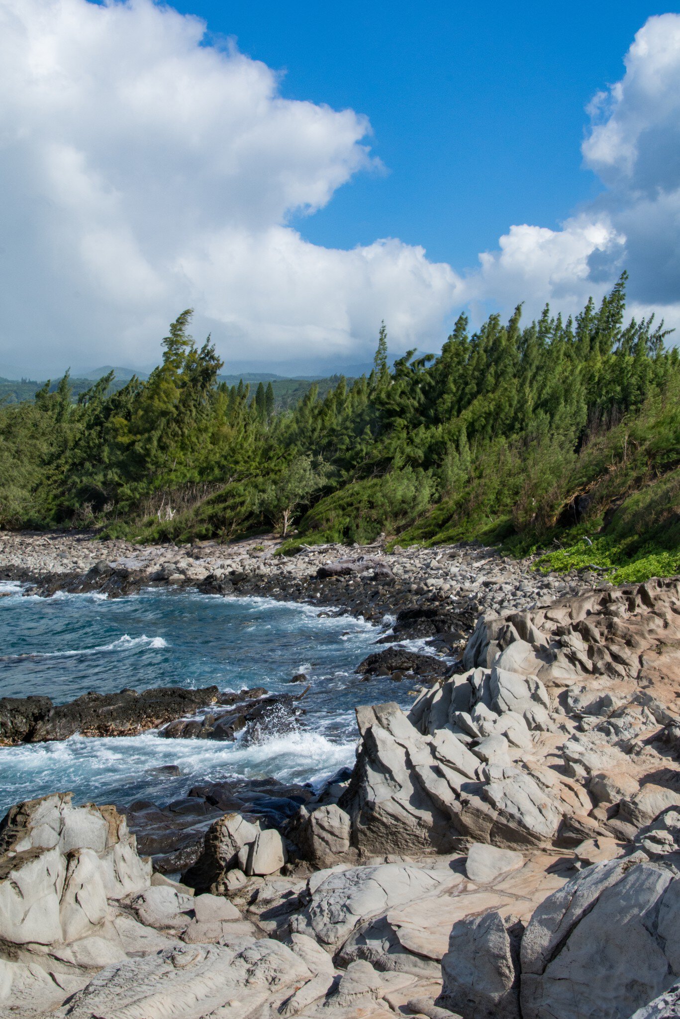 Sharp vertical rocks beaten by the waves of the Pacific