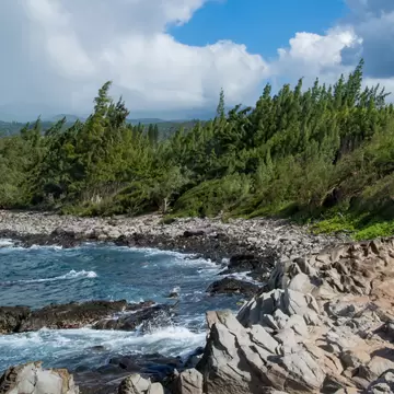 Sharp vertical rocks beaten by the waves of the Pacific