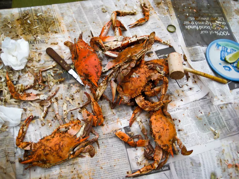 Crab, hammer and knife on newspaper
