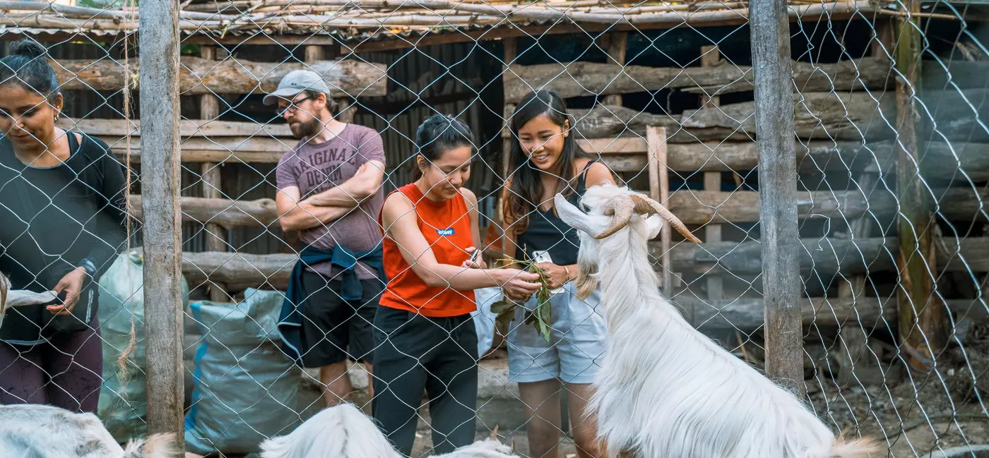 Two people greet a goat through a mesh fence in a farm.