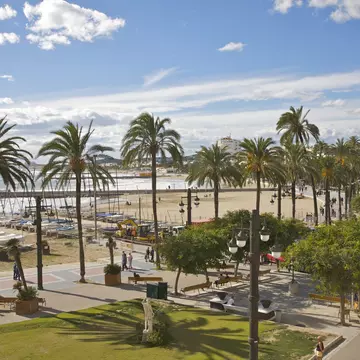 View from on high of palm trees, walkway and beach
