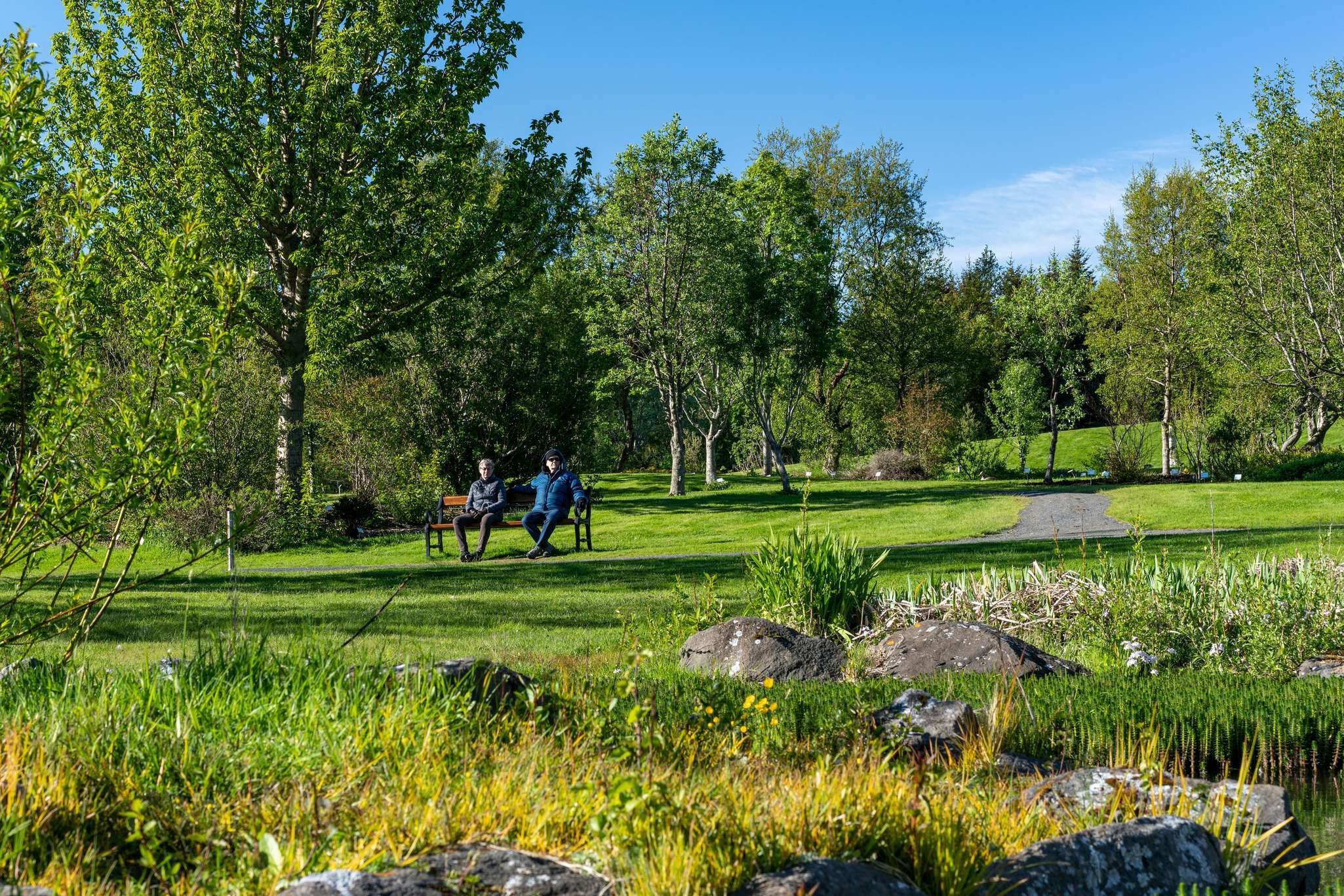 Couple resting in Reykjavik Botanical garden, Iceland. Date 2. June 2020