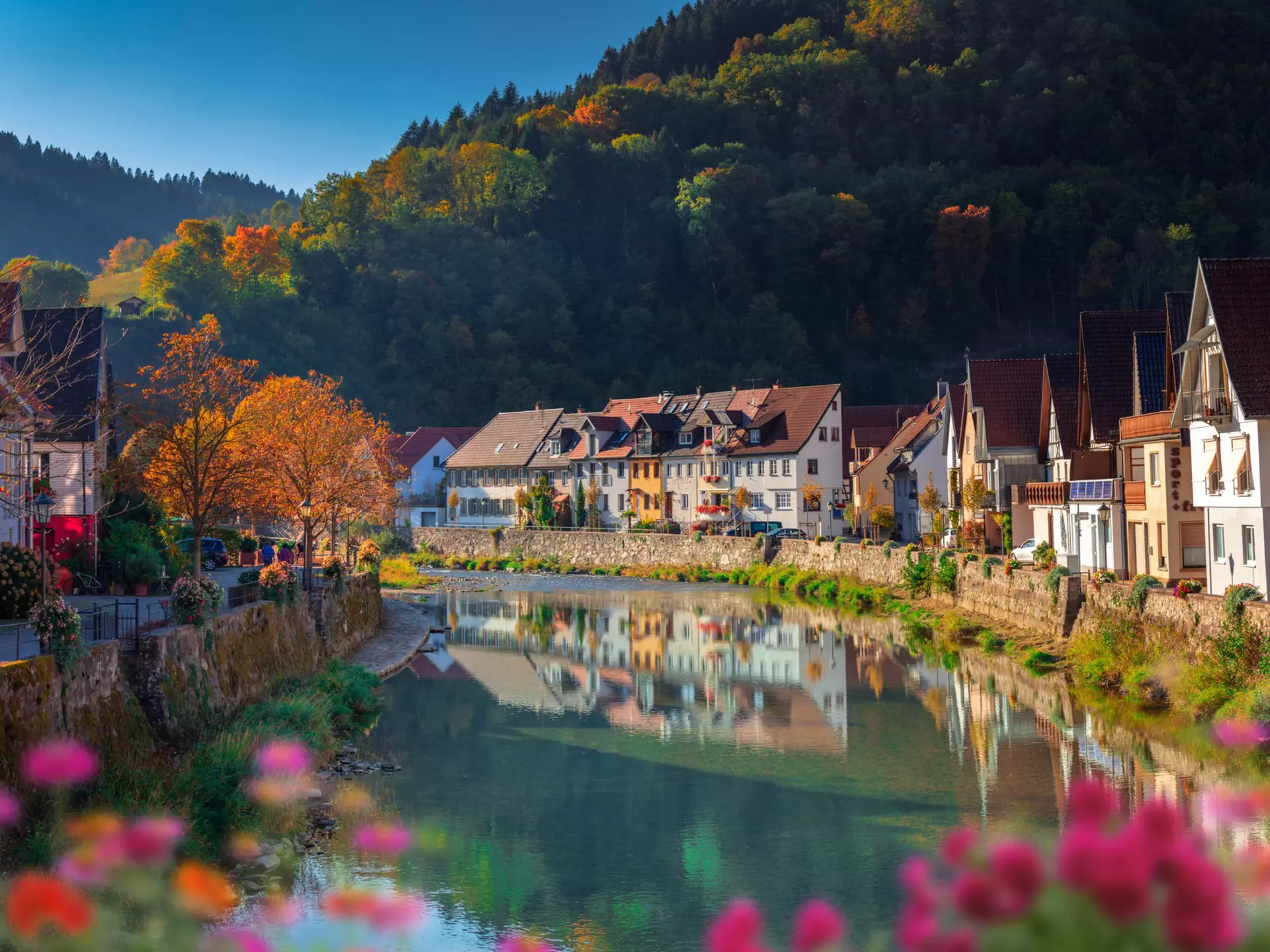 The Black Forest region in Baden-Württemberg, Germany. Milamai/Getty Images