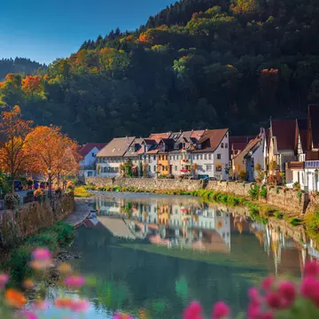 The Black Forest region in Baden-Württemberg, Germany. Milamai/Getty Images