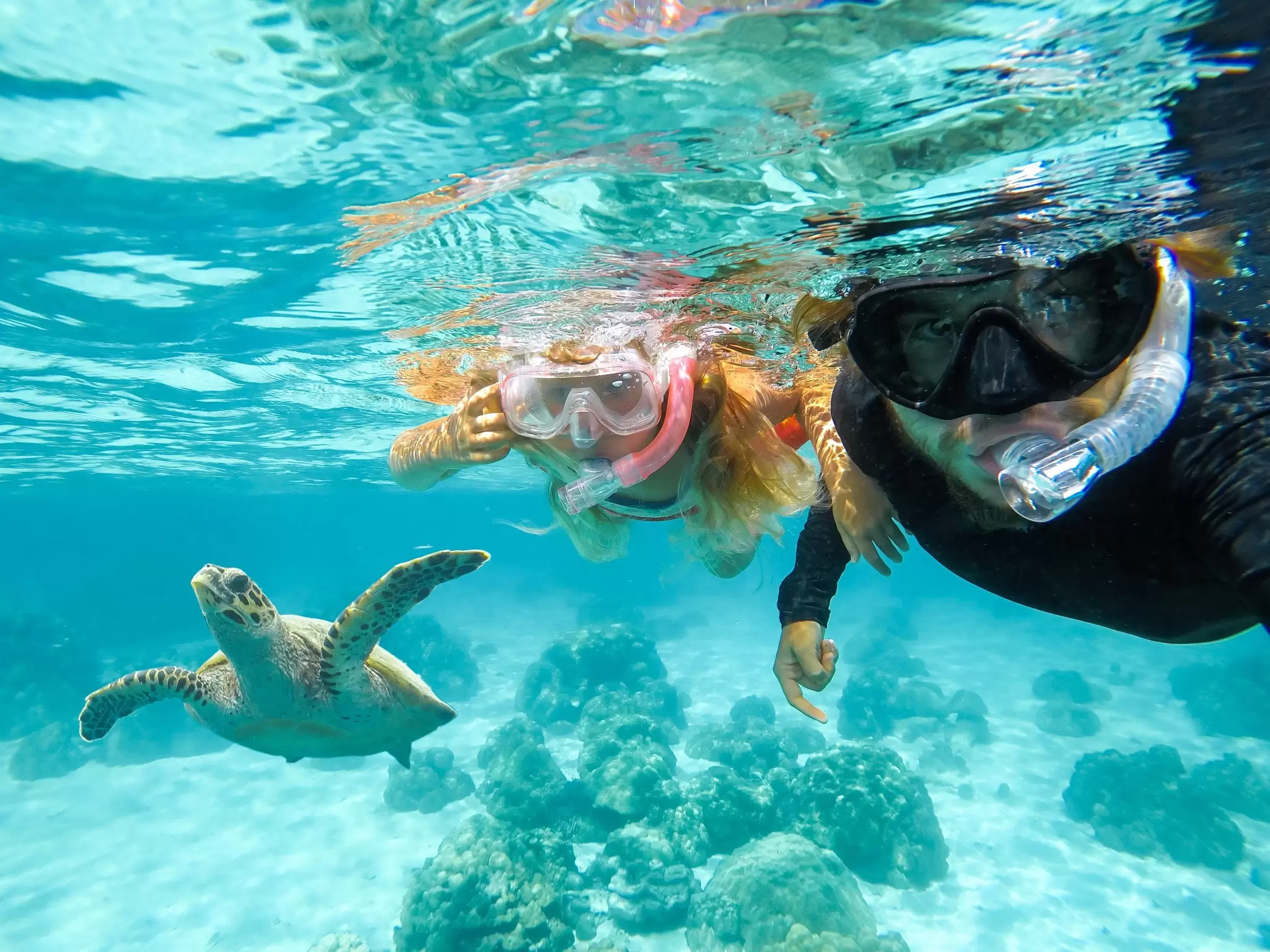 Two people snorkel next to a sea turtle in bright blue waters, the Galápagos Islands