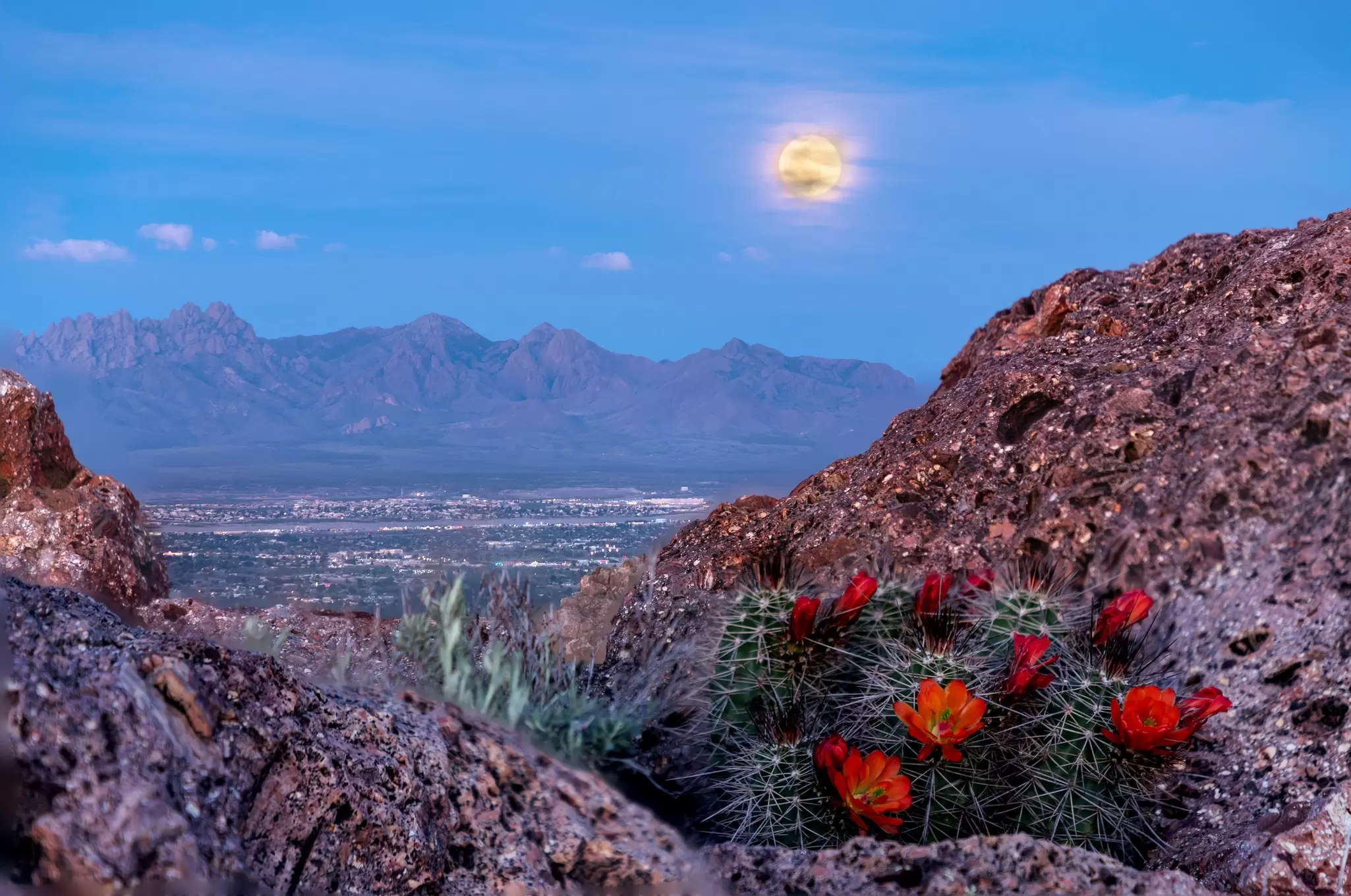 supermoon over las cruces from picacho peak   License Type: media  Download Time: 2023-04-14T12:26:51.000Z  User: Norma.PrauseBrewer_LonelyPlanet  Is Editorial: No  purchase_order: