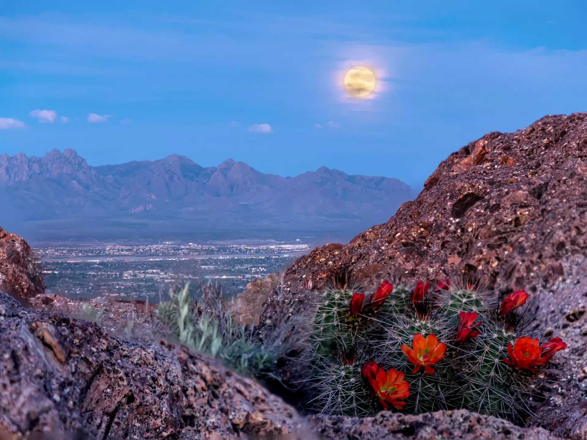 supermoon over las cruces from picacho peak   License Type: media  Download Time: 2023-04-14T12:26:51.000Z  User: Norma.PrauseBrewer_LonelyPlanet  Is Editorial: No  purchase_order: