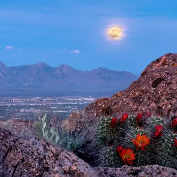 supermoon over las cruces from picacho peak   License Type: media  Download Time: 2023-04-14T12:26:51.000Z  User: Norma.PrauseBrewer_LonelyPlanet  Is Editorial: No  purchase_order: