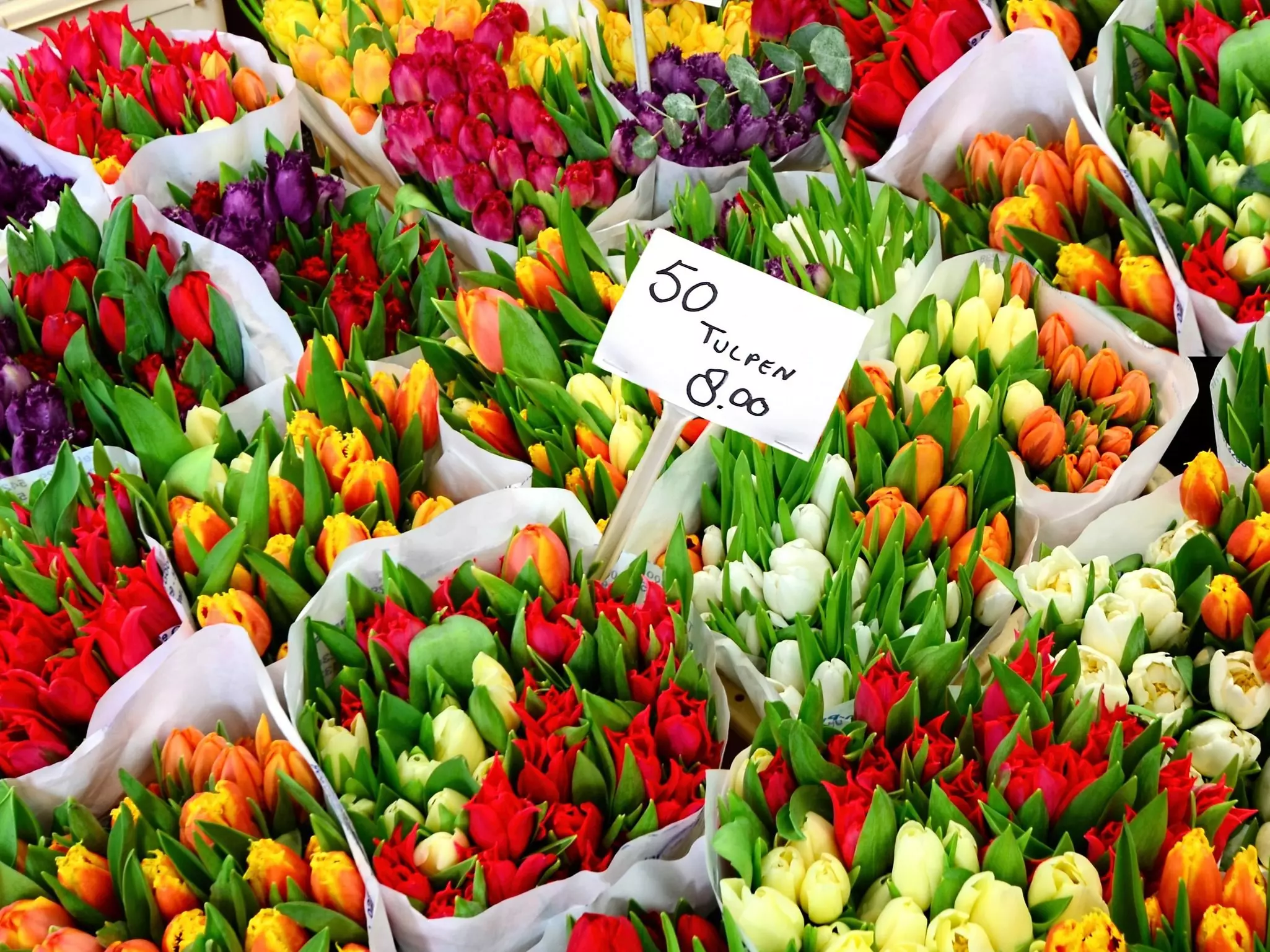 Close-up of red, orange, white, and puruple tulip bundles with hand-written sign noting their cost.